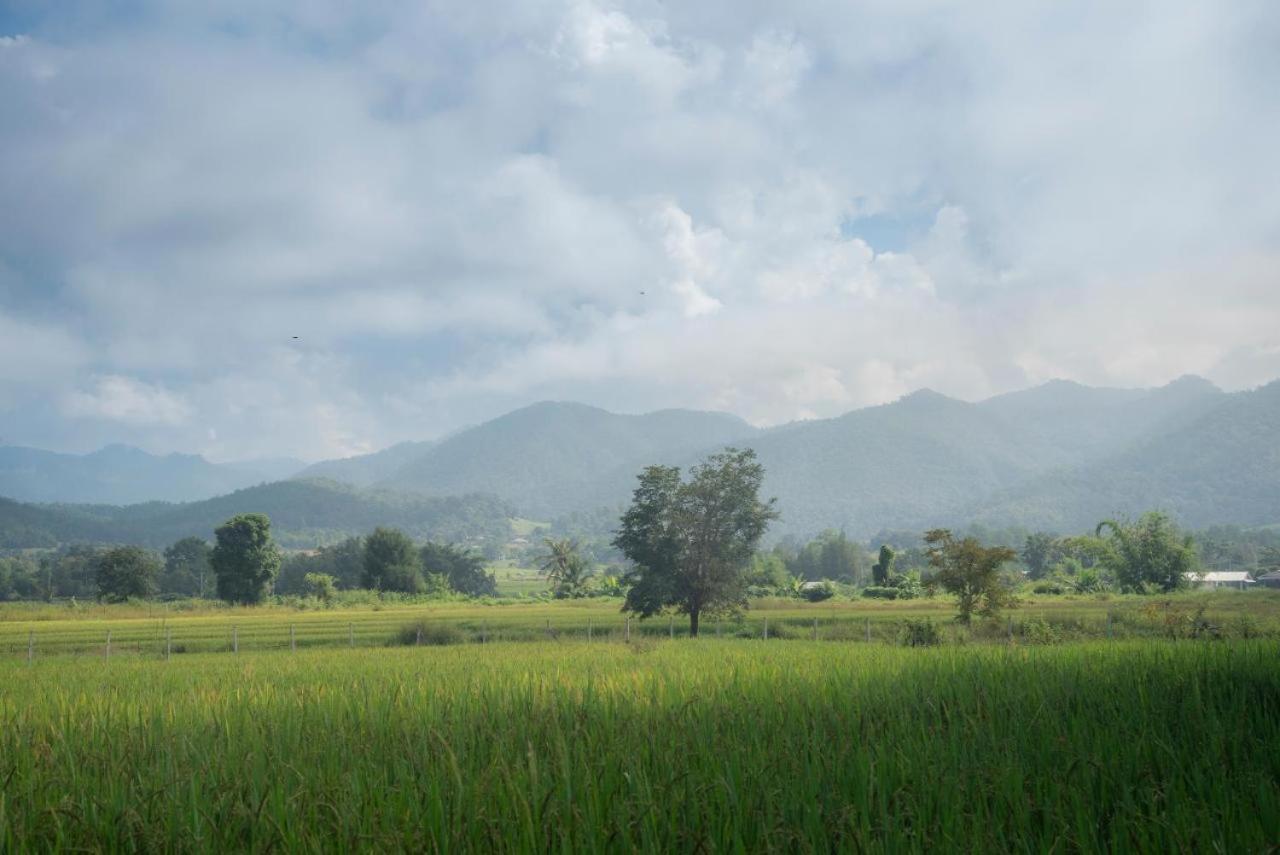Camp View Mountain - Sell Experience By Paddy Fields Haven - Natures Nest Pai Eksteriør billede