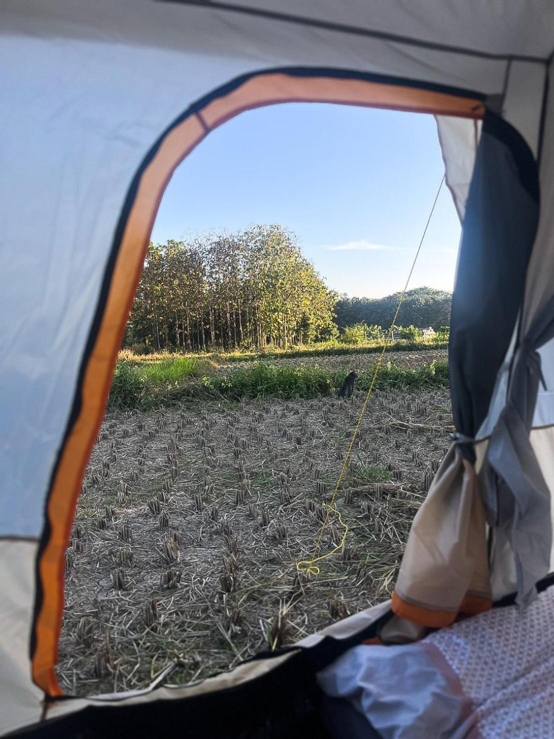 Camp View Mountain - Sell Experience By Paddy Fields Haven - Natures Nest Pai Eksteriør billede